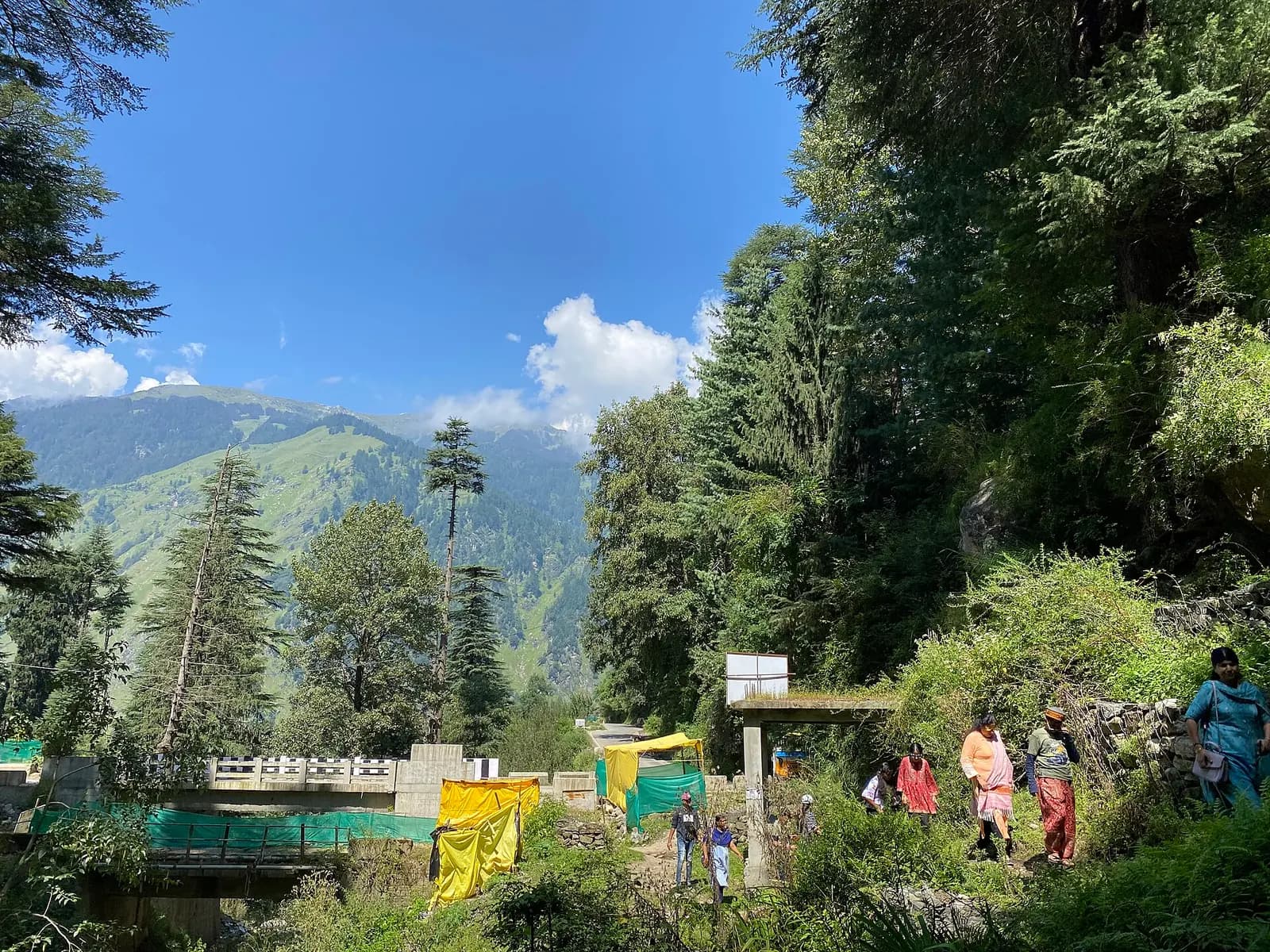 Deodar forest, a small bridge and walkers on the trail leading towards Sajla, with green mountain slopes behind